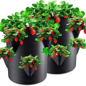 Sac de culture pour fraises en tissu non tissé épaissi, pot de culture pour plantes d'intérieur/extérieur et aménagement paysager - Product Image 1