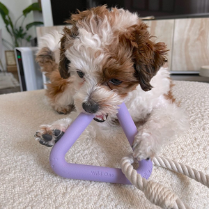 Juguetes de Cuerda para Perros Ecológicos de Alta Calidad, Triangulares Minimalistas para Jugar a Tirar y Masticar, Hechos de Goma Resistente - Product Image 2