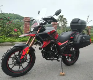 中国125cc 200cc 250cc EEC摩托车FUEGO TEKKEN250 FUEGO摩托车廉价出售11190165