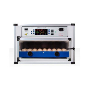 Bán buôn bán Hot New mô hình điện kép PVC-68 trứng lồng ấp giá rẻ trứng nở máy để bán - Product Image 1