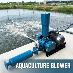 Soplador de Raíces Resistente a la Corrosión de 380V para Suministro de Oxígeno en Piscicultura, Transporte Neumático y Aireación - Product Image 6
