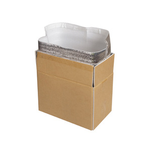 EPE Túi lạnh chèn với hộp các tông | 5cm cách nhiệt lót cho đông lạnh vận chuyển | tái sử dụng băng duy trì Kit - Product Image 1