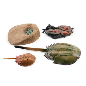 Modèles réalistes en PVC de cycles de vie des animaux pour jouets figurines d'animaux tels que le moustique, le canard, le crabe à fer à cheval et le pterosaure - Nouveauté transfrontalière - Product Image 2