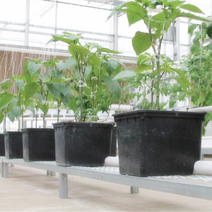 Sistemas de Cultivo Hidropónico para Interiores, Macetas de Plástico, Sistema de Cultivo en Cubetas Holandesas con Tapas - Product Image 3