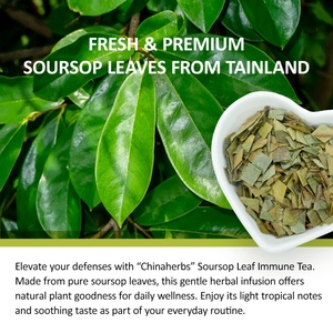 Té Inmunológico Popular de Chinaherbs, Té Herbal Reforzador del Sistema Inmunológico y Bolsitas de Té de Hojas de Guanábana para la Salud, 30g por Bolsita, Empaquetado en Caja - Product Image 5