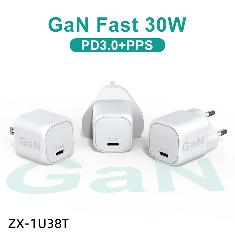 GaN 30W