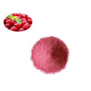 100% Natural and Organic Fruit&Vegetable Powders Instant Juice Powder Raspberry Juice Concentrate Powder