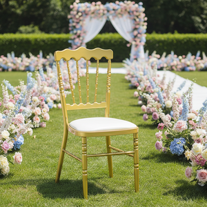 Chaise Napoléon en métal empilable, portable et durable, idéale pour les événements, les fêtes, les banquets, les mariages et la <span class=keywords><strong>location</strong></span> hôtelière - Product Image 5
