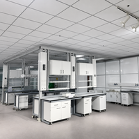Table de travail de laboratoire de biotechnologie à structure en acier robuste avec plateau phénolique et station d'évier