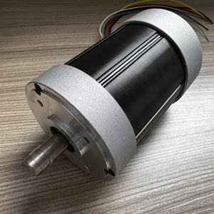Motor sin escobillas de 36V con imán permanente totalmente encapsulado para electrodomésticos, motor de corriente continua - Product Image 3