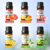Huiles Essentielles Pures de Plantes SADOER : Arbre à Thé, Sakura, Ginseng, Gingembre, Menthe Poivrée, Citronnelle – Huiles Essentielles d'Aromathérapie