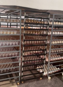 4-5 cm-Grado de <span class=keywords><strong>claveles</strong></span> Flores y clavel de la cabeza para la decoración del hogar - Product Image 5