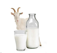 300g Lait de Brebis en Poudre pour Chats et Chiens, Nutrition Générale, Supplément de Calcium pour la Santé, Formule Animale pour Chiots et Chiens