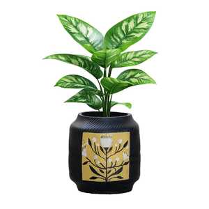 Pot de fleurs d'intérieur élégant pour bureau, maison, chambre – Support décoratif noir pour plantes vertes et fleurs – Décoration d'appoint pour la maison - Product Image 2