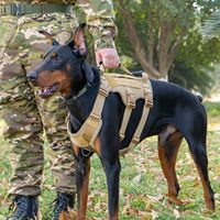 Harnais pour chien respirant et réfléchissant en nylon 1050D, anti-traction, pour chiens de travail de taille moyenne à grande M L XL