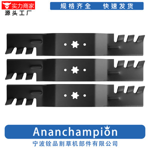 Lame de tondeuse à gazon Ningbo Quanpin 742-0677A A18523-3, pièce de rechange noire standard pour utilisateurs de tondeuses à gazon - Product Image 3