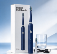 Brosse à dents électrique sonique vibrante de voyage, brosse à dents électrique rechargeable par USB, 6 modes, tête de remplacement pour éliminer les taches et la plaque dentaire