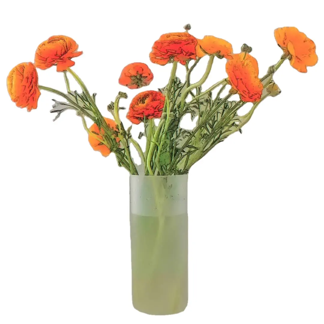 Plastica, largo-bocca vaso per i fiori