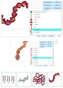 เครื่องวิเคราะห์ทางคลินิกสัตวแพทย์ไบโอฟิเลีย การ์เดียน พร้อมสแกน NLS สำหรับสุนัข แมว ม้า <span class=keywords><strong>ตรวจ</strong></span>สุขภาพ พร้อมรายงานส่วนบุคคล - Product Image 6
