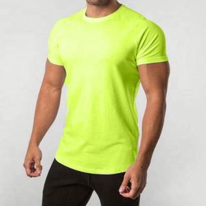 T-shirt pour homme en coton 100% de haute qualité, respirant, coupe classique, impression personnalisée en relief, écologique, vente en gros - Product Image 1