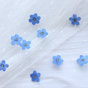 <span class=keywords><strong>Verveine</strong></span> Variété Couleurs Naturelles <span class=keywords><strong>Fleur</strong></span> Pressée Pour Décoration Nail Art - Product Image 2