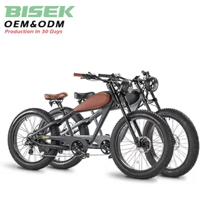 OEM 500w 750w 1000W 36v 48v 52v Fat Tire Hub Motor Lithium Battery Retro Chopper Fast Electric Vintage Bike Electric Bicycle