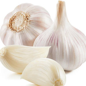 Alho Fresco 10kg em Saco de Malha, Alho de Alta Qualidade, Preço de Atacado, Alho Vermelho, Alho Branco Puro, Alho Branco Normal - Product Image 5