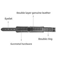 Collier pour chien robuste à pointes, en cuir véritable de 8 mm d'épaisseur, anti-morsure, clouté, pour Bully, Pitbull, Mastiff