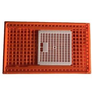Caisse de transport pour poulets en plastique HDPE / Boîtes de transport pour volailles / Transporteur de volailles à vendre - Product Image 1