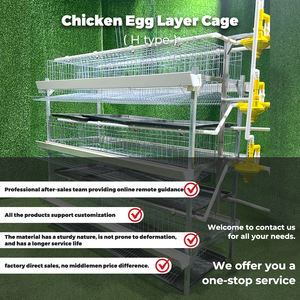 Ferme avicole galvanisée 96/120/128/160 Oiseaux Oeuf d'élevage Poule Poule Cage Batterie 3/4 Niveaux <span class=keywords><strong>Prix</strong></span> de ponte Type H à faible coût - Product Image 6