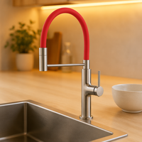 Robinet de cuisine et salle de bain MOSHE moderne en acier inoxydable brossé, avec pulvérisation thermostatique et douchette extractible en céramique
