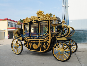 2026 Voiture électrique royale noire économique pour le tourisme, pour parcs d'attractions, en gros, à vendre - Product Image 6