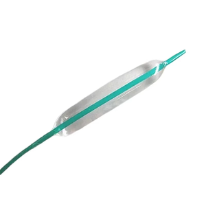 ERCP/PTCS balon esofagus pencernaan kateter Dilator - Product Image 3