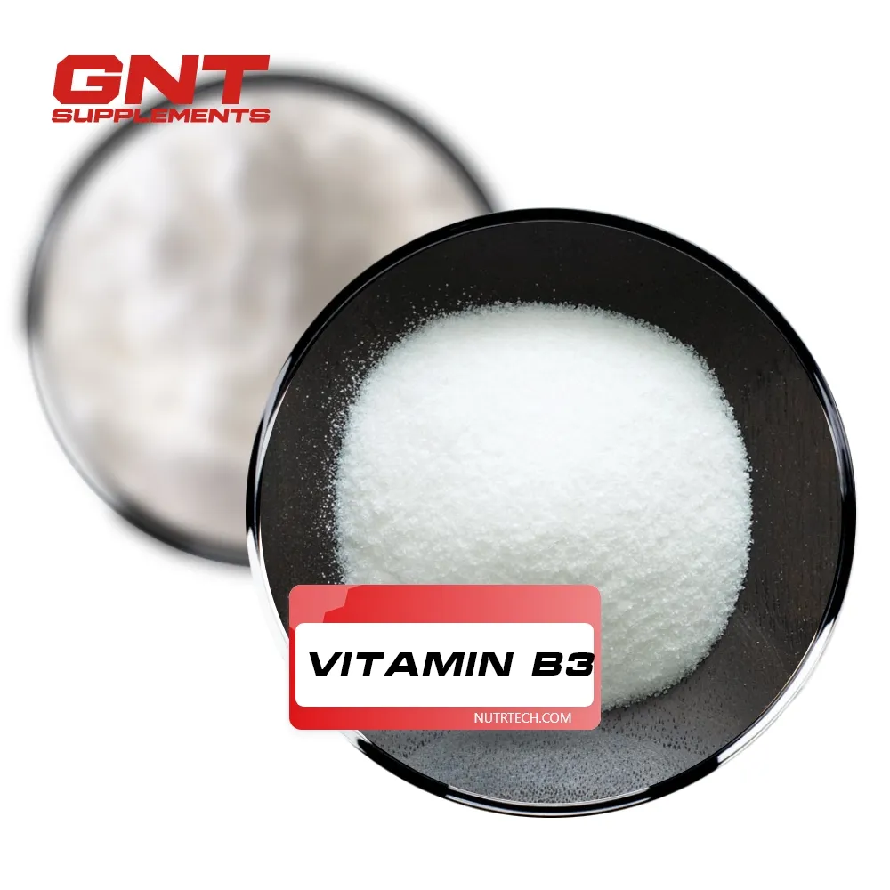 Yüksek kaliteli Vitamin B3 tozu yem/gıda sınıfı Nicotinic Acid Vitamina B3 Vitamin B3 hayvan beslenmesi için