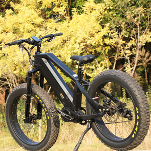 <span class=keywords><strong>Bicicleta</strong></span> <span class=keywords><strong>eléctrica</strong></span> de montaña, neumático ancho de <span class=keywords><strong>1000w</strong></span>, con batería dual - Product Image 1