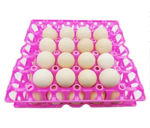 QIANQIN 6-Pack Productos agrícolas Pollo Bandejas de plástico para huevos Estantes para huevos