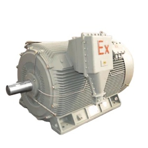 Motor Asíncrono Trifásico de Alta Calidad, 6KV 10KV 160KW-2240KW, Inducción CA, Alto Voltaje, a Prueba de Explosiones, YX3 - Product Image 2