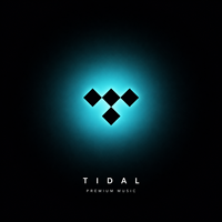 Abonnement Premium Tidal Music 12 mois, comptes Tidal, abonnement Tidal Hifi Plus 1 an