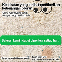 Litière pour chat en manioc spéciale intérieur, sans poussière volante, désodorisation rapide, sans traces, facile à ramasser, nettoyage facile, sable écologique pour animaux de compagnie