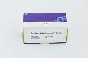 EQ011 Mezcla de <span class=keywords><strong>DNTP</strong></span> de 1mL (Grado PCR) 10 mM de cada uno para Investigación - Product Image 4