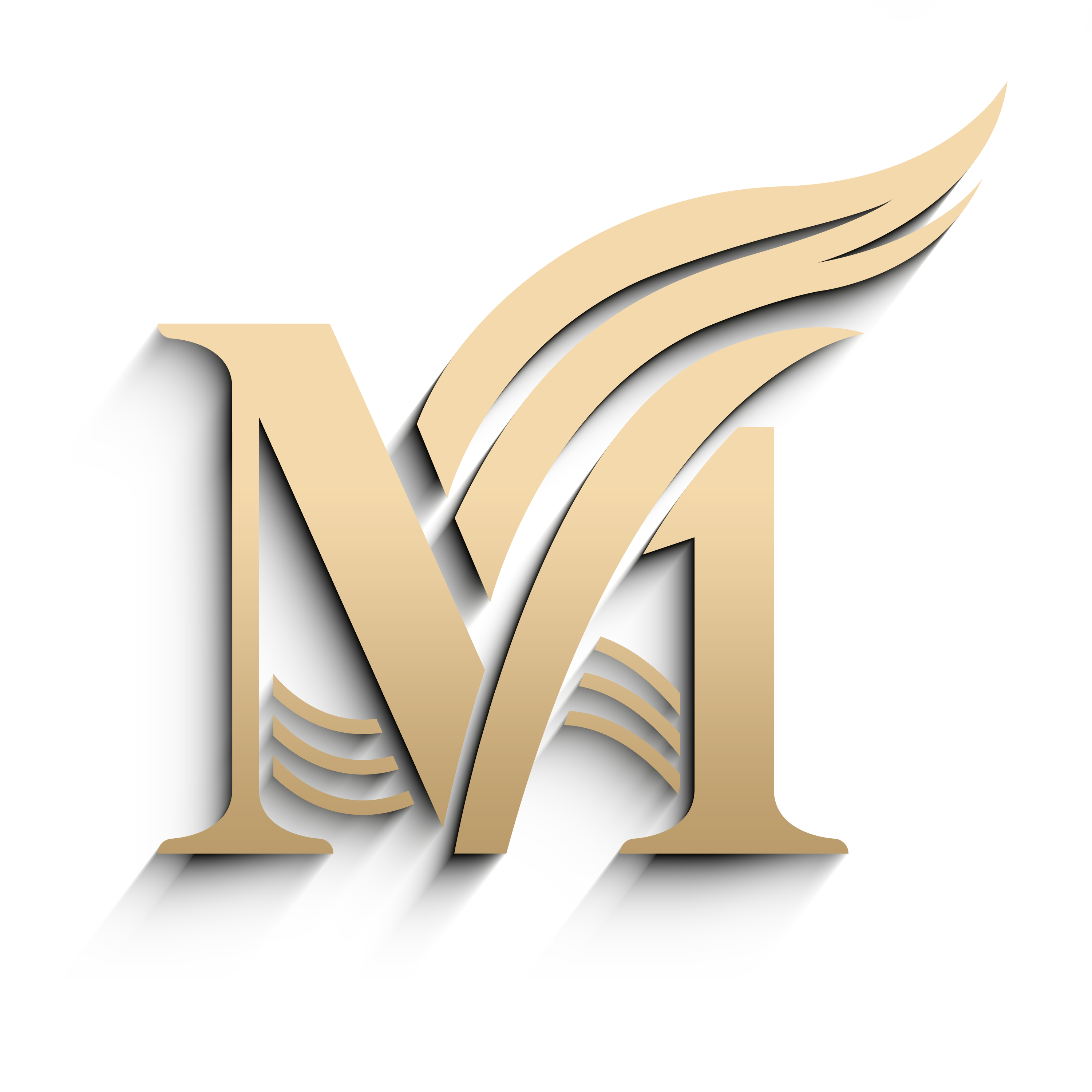 Guangzhou Maishun Hair Products Import & Export Co., Ltd. logo