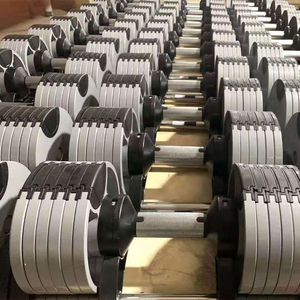 Custom Weights Body Building 16-40kg Cast Iron Round <strong>Adjustable</strong> Increments <strong>Dumbbell</strong> For Home Gym