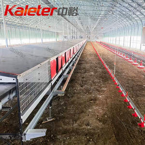 Solution clé en main nichoir automatique poules pondeuses pondeuses ferme collecte d'œufs éleveur de volailles maison bien-être déploiement - Product Image 4