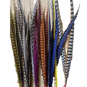 Usine En Gros 60-110cm Simulé Femelle Mâle <span class=keywords><strong>Faisan</strong></span> Queue DIY Chapeaux Accessoires Lady Amherst <span class=keywords><strong>Faisan</strong></span> Queue Plumes - Product Image 5