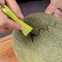 Fruitsnijgereedschap Set Fruitschotel Decoreren Gereedschapsset Graven Bal Schepje Snijmes Keukenaccessoires
