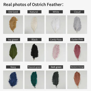 Lampe sur pied moderne en laiton avec plumes d'autruche, base en forme de branche d'arbre, sculpturale, décorative, lampe sur pied en laiton avec plumes d'autruche - Product Image 5