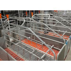 High Quality New Hot <b>Dip</b> Galvanized CE Certified Pig Farm Farrowing Crates & <b>Pens</b> with Long Service Life - Product Image 3