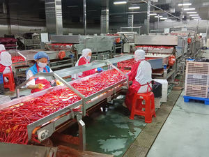 Lwt Verstelbare Hoogte Hellende Band Transportband Horizontale Band Transportband Voor Gebruik In De Voedingsindustrie - Product Image 6