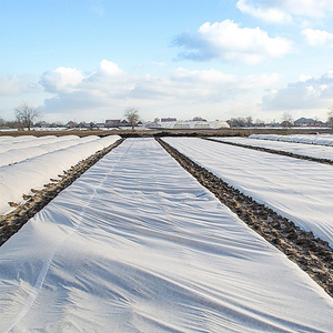 Film de paillage biodégradable anti-herbe pour l'agriculture, fourni par l'usine - Product Image 1