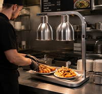 Lampe chauffante électrique professionnelle Cucina en acier inoxydable écologique à chauffage rapide pour frites et poulet frit